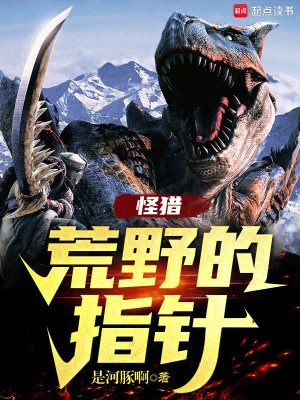  怪猎：荒野的指针